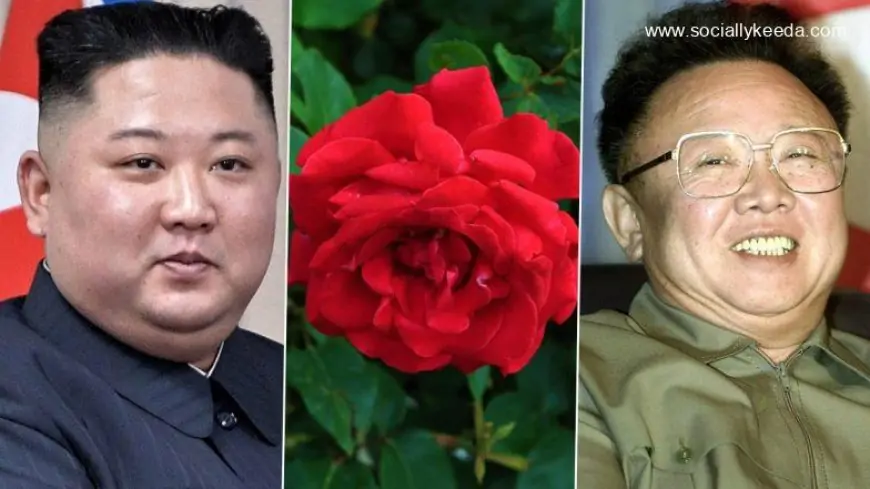 Kim Jong-un Sends Gardeners to Labour Camp for Failing To Make ‘Kimjongilia’ Flowers Bloom for Father’s Birthday