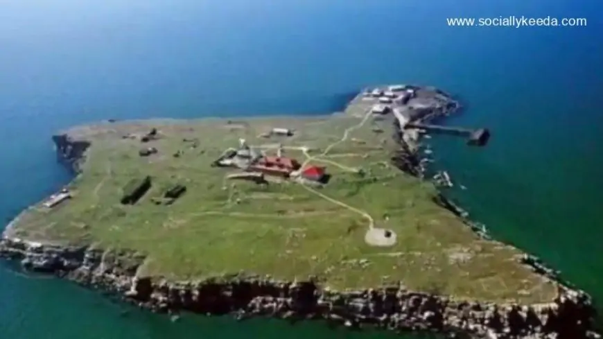 ‘Russian Warship, Go F*** Yourself’, What Ukrainian Border Guards Stationed on Snake Island told Russians (Watch Video)