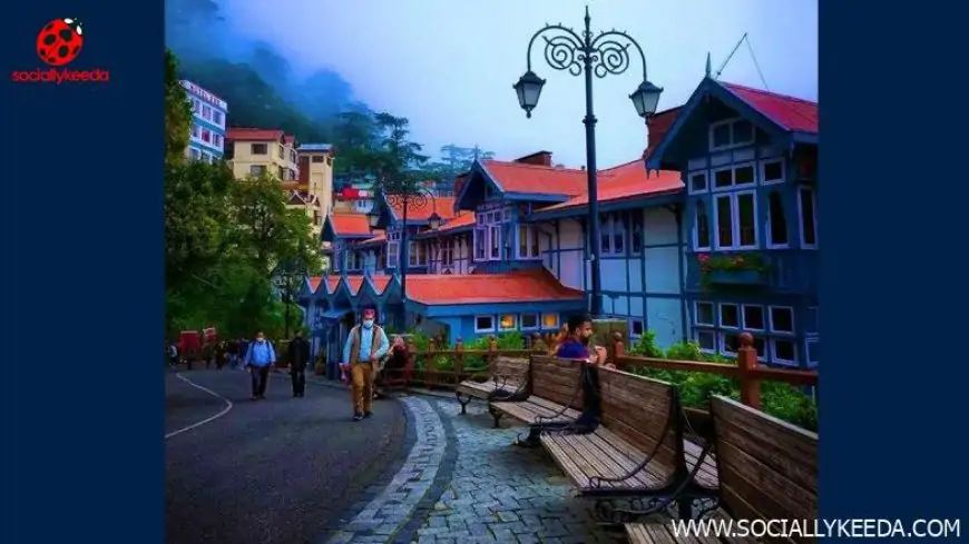 Spectacular Photo of 'Green Shimla' Goes Viral on Twitter; Picture Shows Beauty of Incredible India