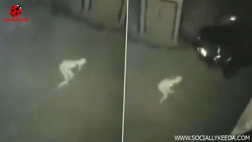 Real Ghost Caught on Camera? Mysterious Pale Lanky Figure In This Creepy Viral Video Leaves Paranormal Enthusiasts Puzzled