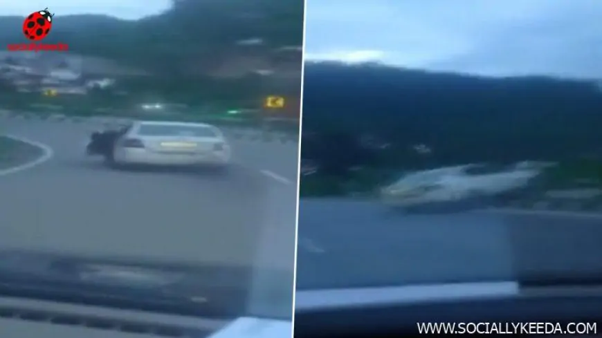 Himachal Pradesh: Failed Stunt Sends Speeding Car Jumping Over Divider, Colliding With Railing on NH-5 in Solan; Watch Video