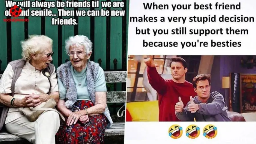 Happy Friendship Day 2023 Quotes, Funny Memes & Cute GIFs That You Can Send to Your Best Friends on This Special Day!