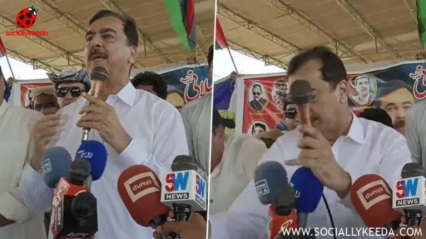 Video: Stage Collapses During Former Pakistan PM Yusuf Raza Gilani's Speech