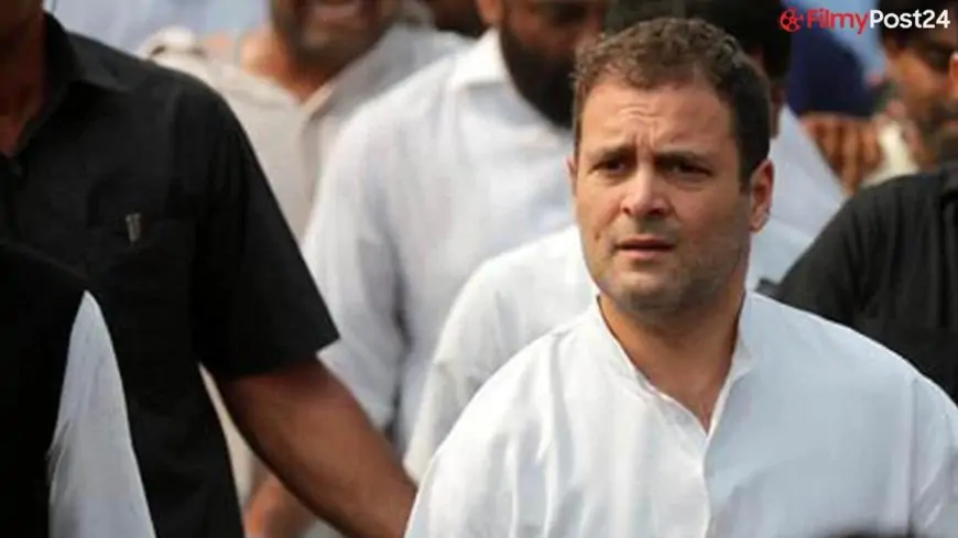 Read What He Stated About Rahul Gandhi