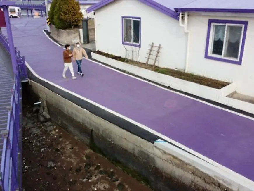 Photos: Drenched in purple, South Korean islands draw tourists