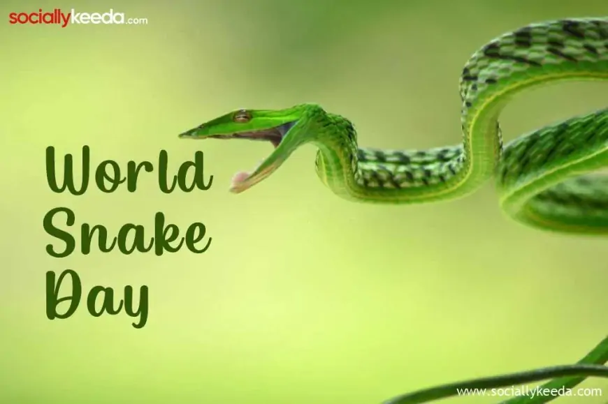 World Snake Day 2023 Quotes, Images, Status, Meme, and WhatsApp Status Video to Download