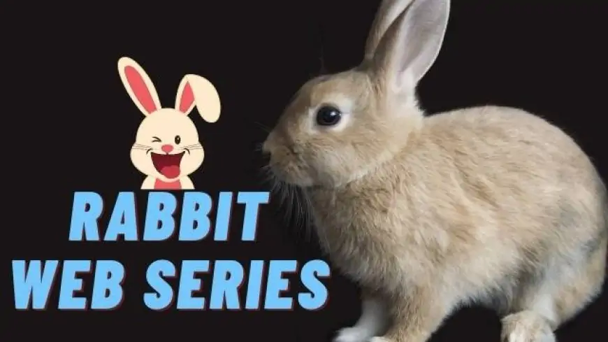 Rabbit all web series download Hindi filmyzilla, moviesflix