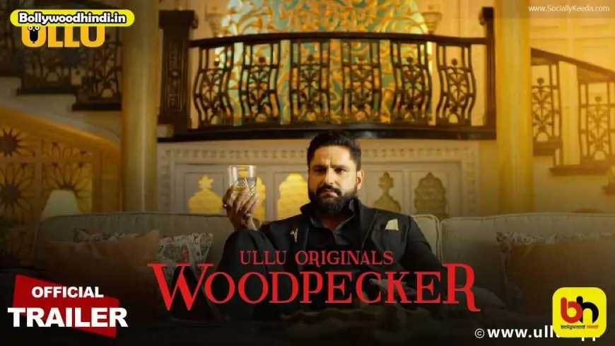 Woodpecker Part 1 Ullu Web Series