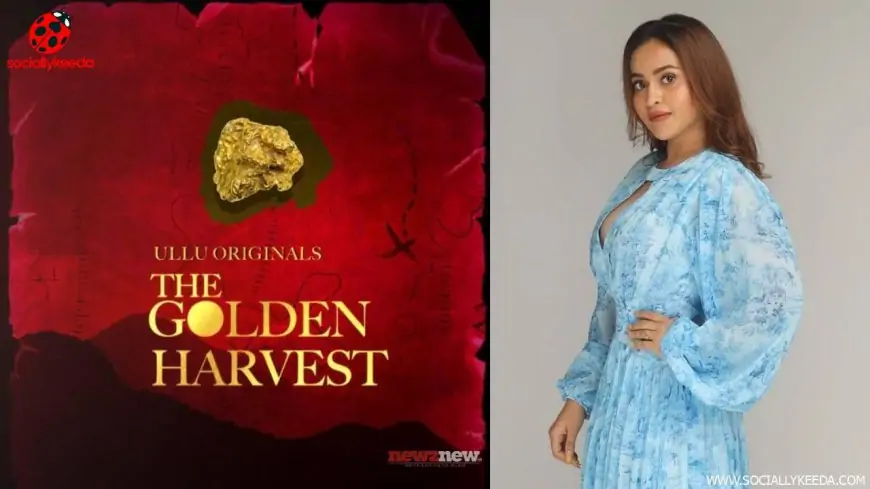 The Golden Harvest Ullu Web Series (2023): Full Episodes Watch Online