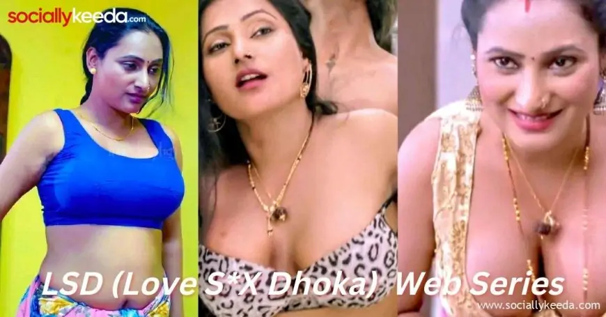 Watch LSD (Love S*X Dhoka) Primeplay Web Series Online