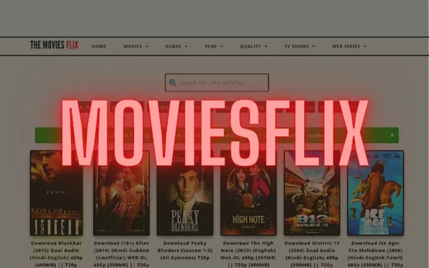 Moviesflix 2024 - Watch & Download Bollywood & Hollywood Movies In HD