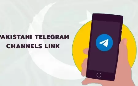 Pakistani Telegram Channels Link: Telegram Channels & Groups 2024