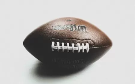 What to Expect From Your First NFL Game