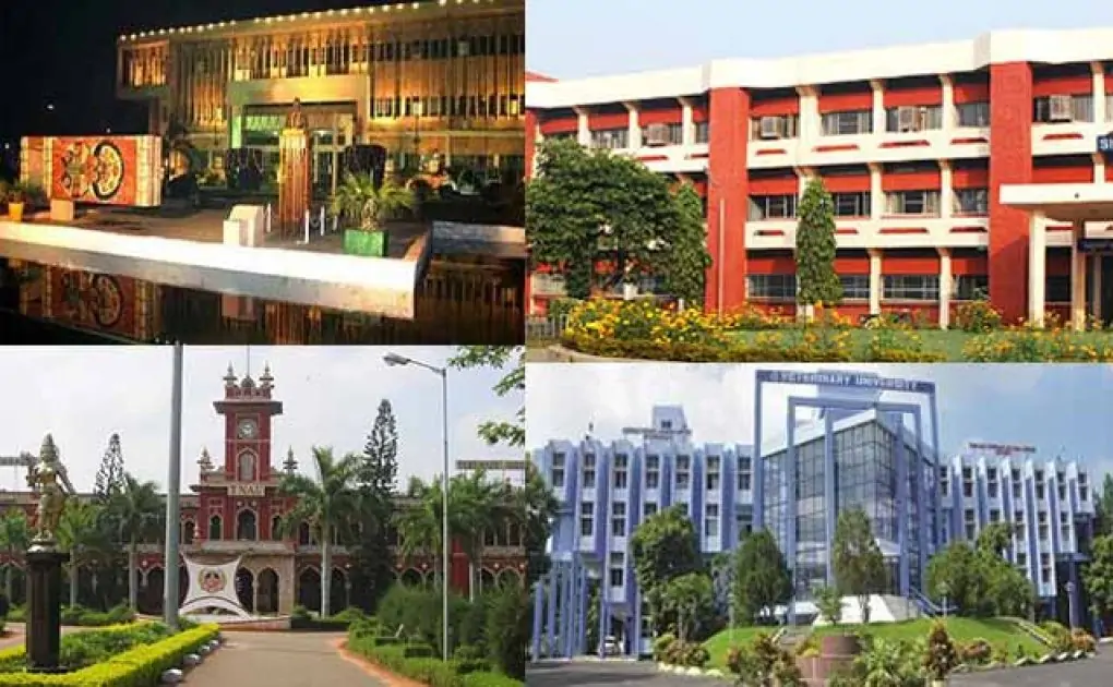 Top 5 Best Boys College in Jaipur- Updated 2024