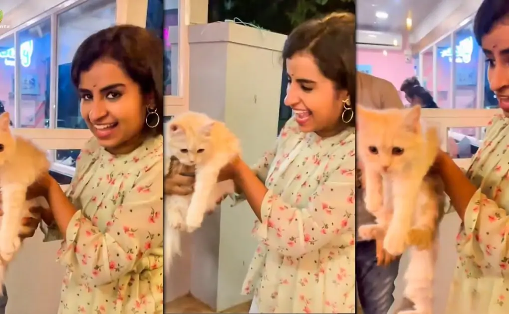 Anielia Lekha