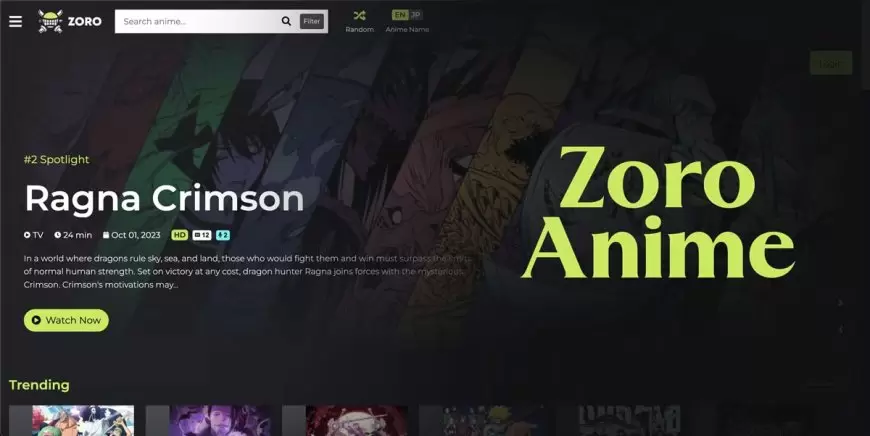 Zoro Anime (2024): Latest Anime Series And Movies For Free