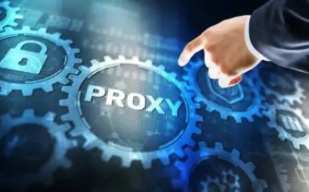 Understanding the Role of Netnut Proxies in Internet Service Provision Understanding the Role of Netnut Proxies in Internet Service Provision