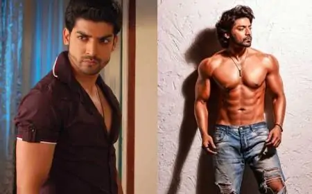 Gurmeet Choudhary Biography – Age, Height, Wife, Success Story, Serials, Net Worth and More