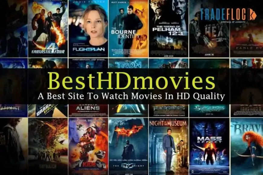 BestHDMovies (2024) - Latest Bollywood and Hollywood Movies Online