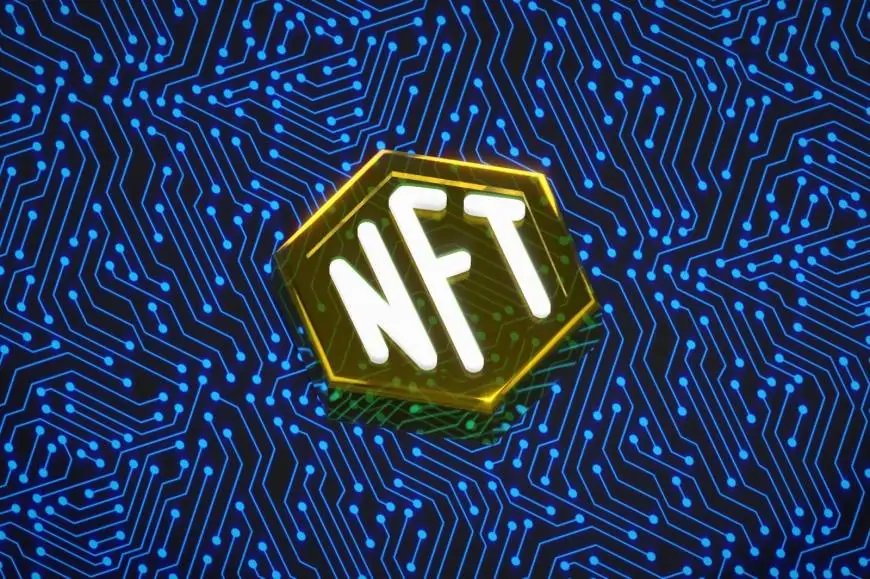 Exploring Bitcoin NFTs: A Beginner's Handbook