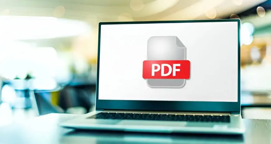 Z-Library Versus PDF Drive: Choosing the Better Digital Library