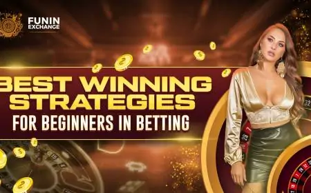 How to Earn Big With Less Investment in Online Casino Games?