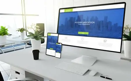 10 Reasons to Hire a CBD Website Design Company Right Now!