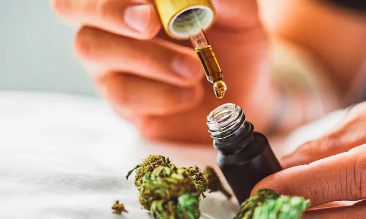 ,Effects Of CBD Oil For Your Brain And Body,