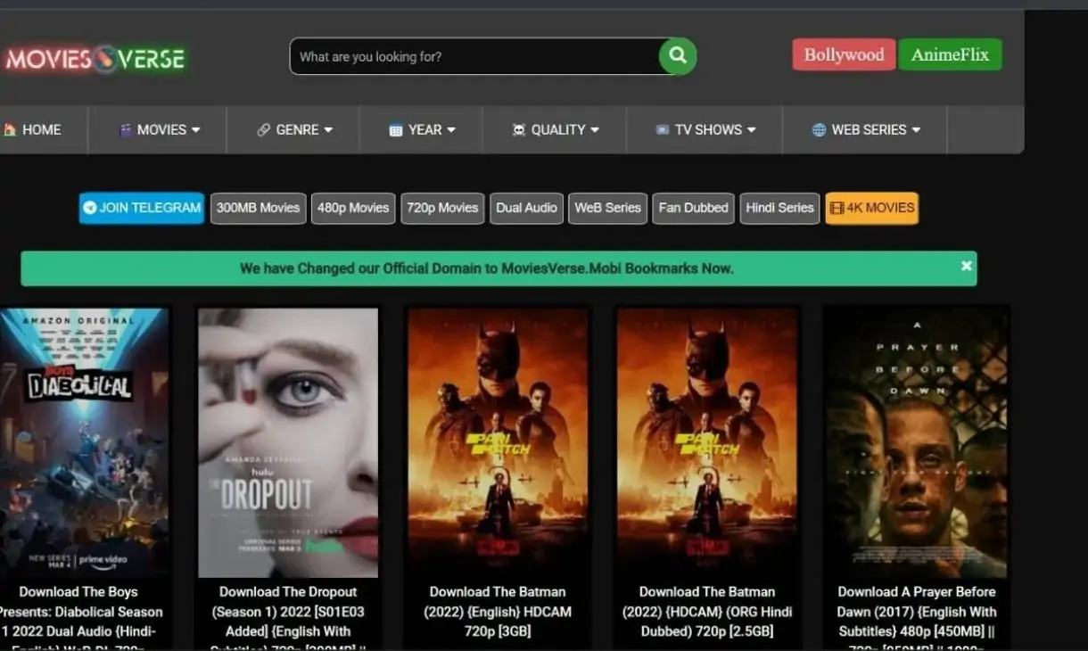 Moviesverse: New Bollywood And Hollywood Movies Online For Free