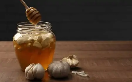 Storage To Sustainability: Know The Growing Popularity Of Glass Jars