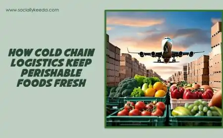 How Cold Chain Logistics Keep Perishable Foods Fresh