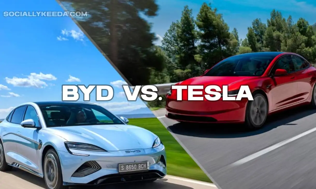 BYD vs. Tesla