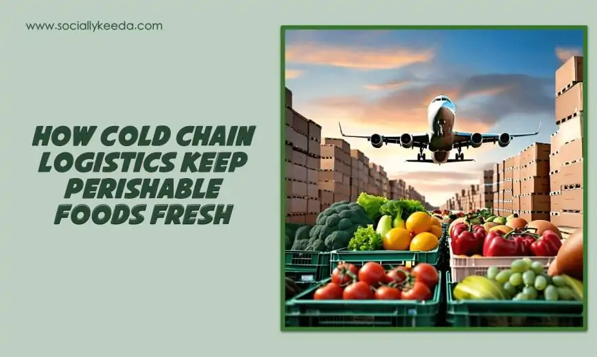 How Cold Chain Logistics Keep Perishable Foods Fresh