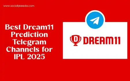 Best Dream11 Prediction Telegram Channels for IPL 2025 – Expert Tips & Verified