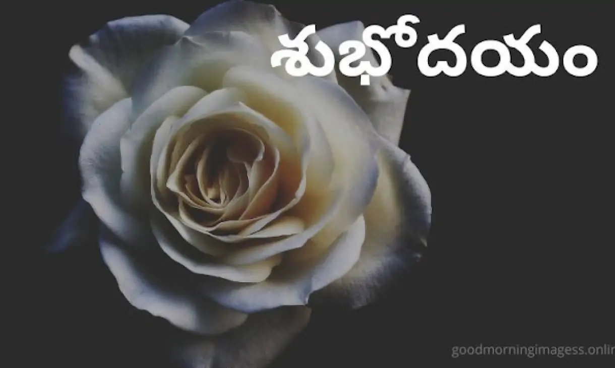 Good Morning Images In Telugu For Whatsapp