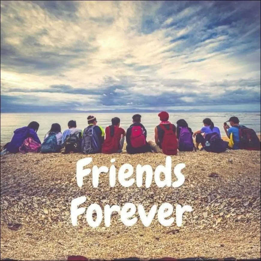 School Friends Whatsapp Dp