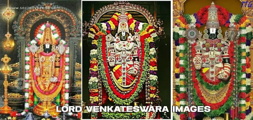 Lord Venkateswara Images - 50+ God DP