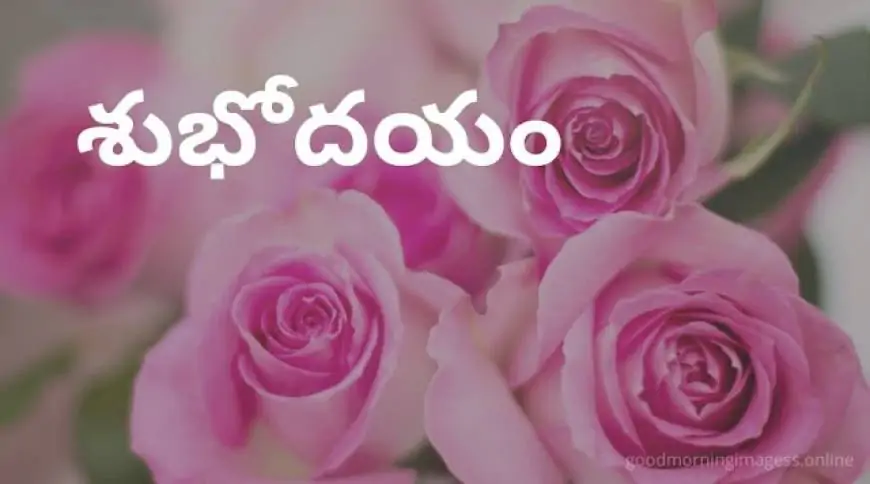 Good Morning Images In Telugu For Whatsapp