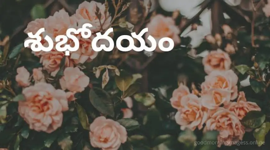 Good Morning Images In Telugu For Whatsapp