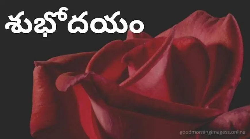 Good Morning Images In Telugu For Whatsapp
