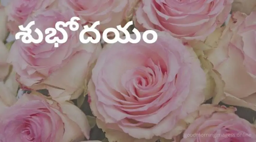 Good Morning Images In Telugu For Whatsapp