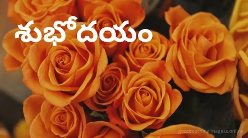 Good Morning Images In Telugu For Whatsapp