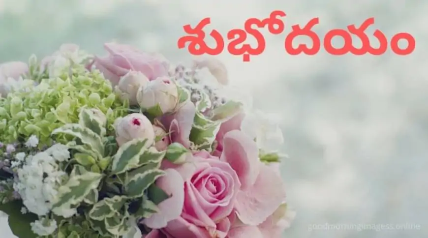 Good Morning Images In Telugu For Whatsapp