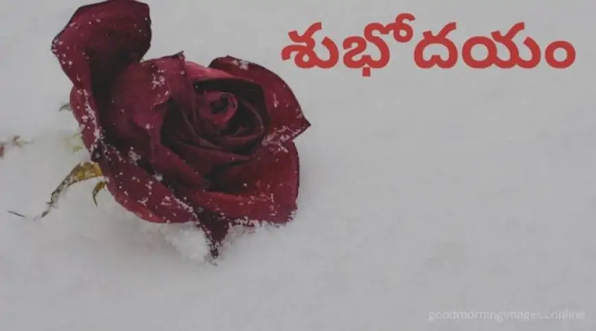 Good Morning Images In Telugu For Whatsapp