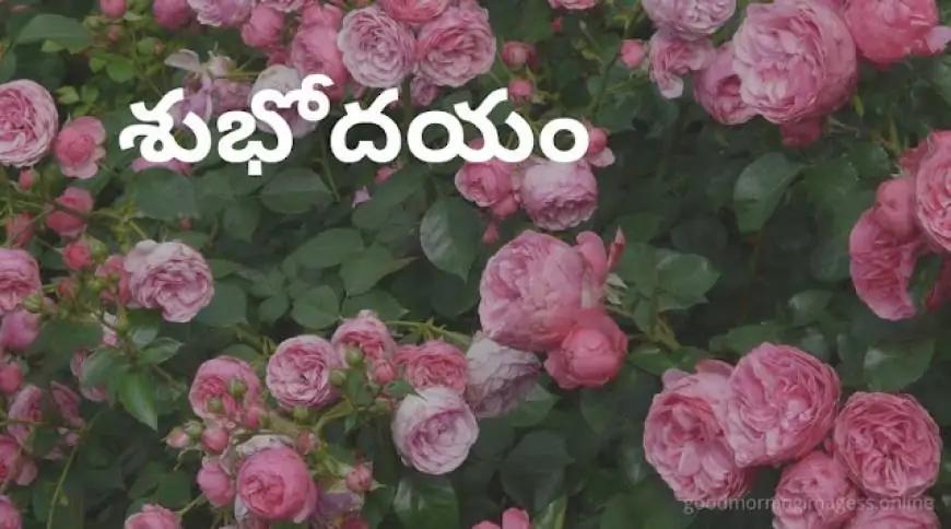 Good Morning Images In Telugu For Whatsapp