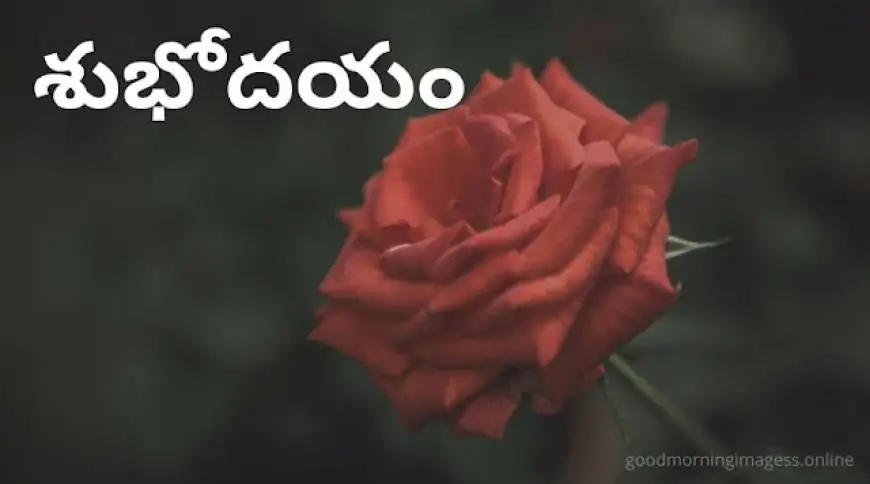 Good Morning Images In Telugu For Whatsapp