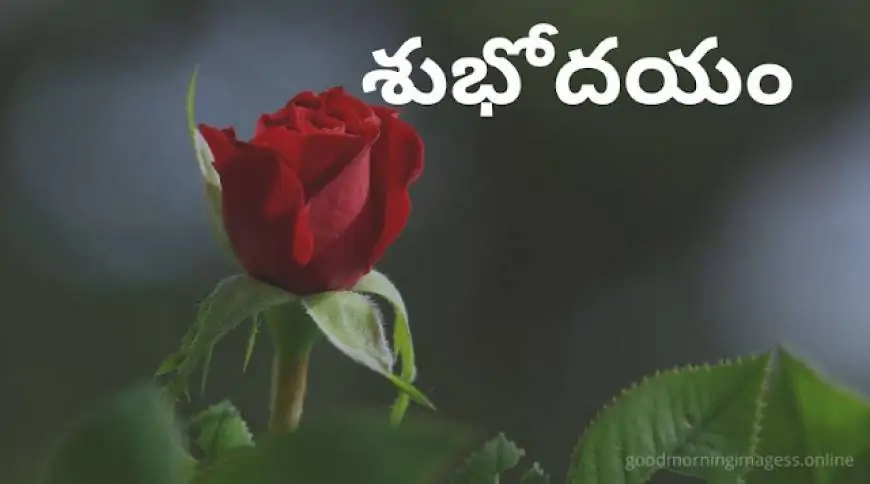 Good Morning Images In Telugu For Whatsapp
