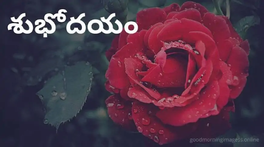 Good Morning Images In Telugu For Whatsapp