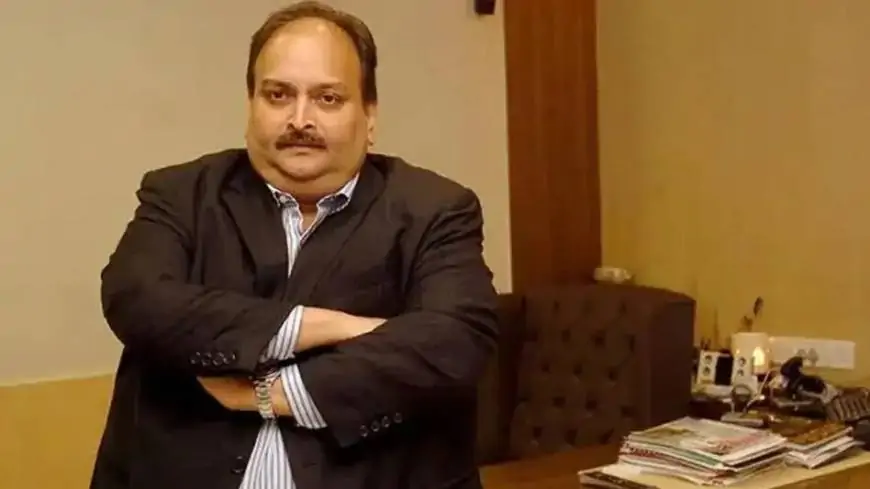 Mehul Choksi Arrested: India Moves Closer to Extradition in PNB Scam Case