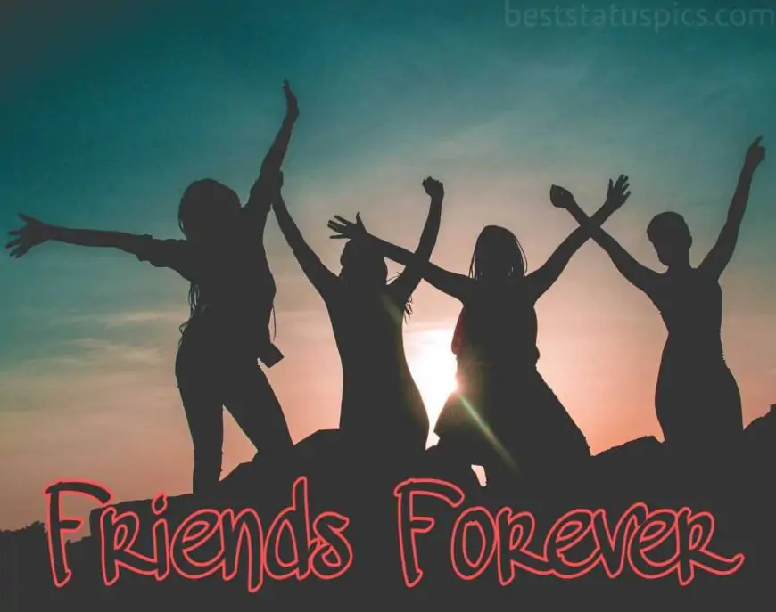 Group Whatsapp Dp Images Pics Wallpaper